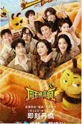 电影播放器在线观看慢游者综艺海报